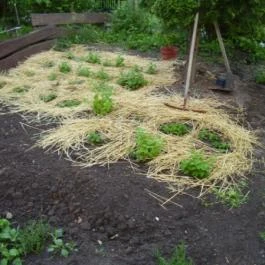 Welcome Vendégház Eger - Medence/kert