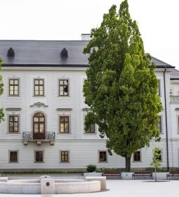 45. legjobb látnivaló: Egri Érseki Palota Turisztikai Látogatóközpont