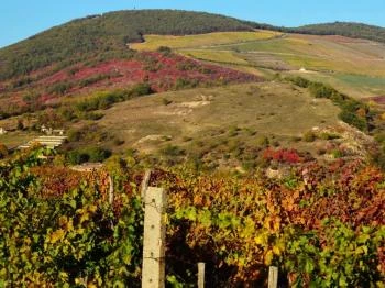 Nagy-Eged hegy Eger Eger