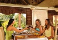 Shiraz Étterem & Dubai Kert Egerszalók