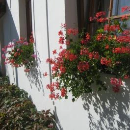 Harangláb Vendégház Egerszalók - Egyéb