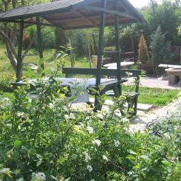 Harangláb Vendégház Egerszalók - Medence/kert