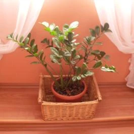 Oázis Vendégház Egerszalók - Egyéb