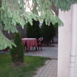 Oázis Vendégház Egerszalók - Medence/kert