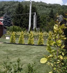 Pacsirta Vendégház