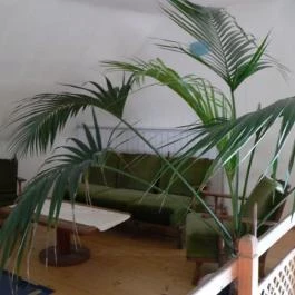 Papsajt Vendégház Egerszalók - Belső