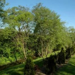 Villa Apartman Egerszalók - Medence/kert