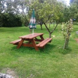 Mátyás Vendégház Egyházasrádóc - Medence/kert