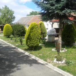 Mátyás Vendégház Egyházasrádóc - Medence/kert