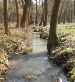 Füveskert Vendégház