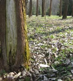 Füveskert Vendégház