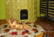 Zempléni Vendégház Erdőbénye