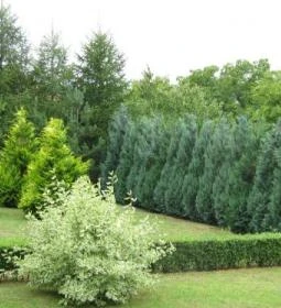 Zempléni Vendégház