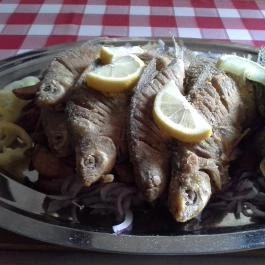 Rév Csárda Érsekcsanád - Egyéb