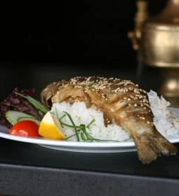 Nautilus Hajós Bár