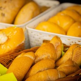 Bazilika alatti Panzió Esztergom - Vendéglátás