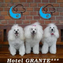 Grante Hotel Esztergom - Egyéb