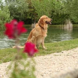 Grante Hotel Esztergom - Egyéb