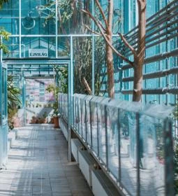 Vácrátóti Arborétum 