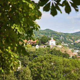 Szent Tamás-hegy Esztergom - Egyéb