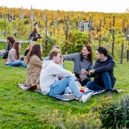 Etyeki Piknik Etyek - Egyéb