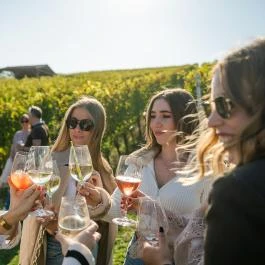 Etyeki Piknik Etyek - Egyéb