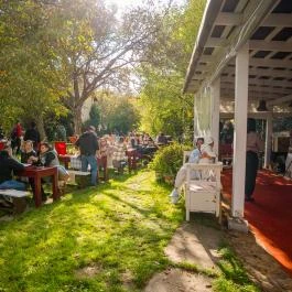 Etyeki Piknik Etyek - Egyéb