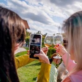 Etyeki Piknik Etyek - Egyéb