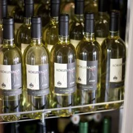 Rókusfalvy Fogadó étterme Etyek - Egyéb