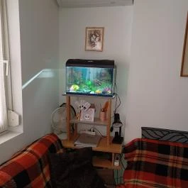 Németh Vendégház Dombori Fadd-Dombori - Szobák