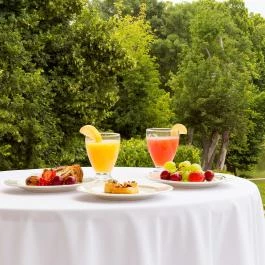 Károlyi Kastély Hotel & Restaurant Fehérvárcsurgó - Medence/kert