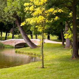 Károlyi Kastély Hotel & Restaurant Fehérvárcsurgó - Egyéb