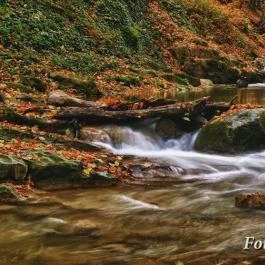 Margaréta Vendégház Fehérvárcsurgó - Környék