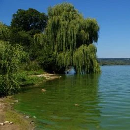 Margaréta Vendégház Fehérvárcsurgó - Környék