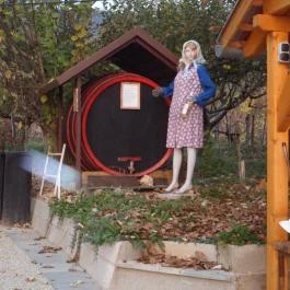 Margaréta Vendégház Fehérvárcsurgó - Környék