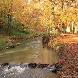 Margaréta Vendégház Fehérvárcsurgó - Környék
