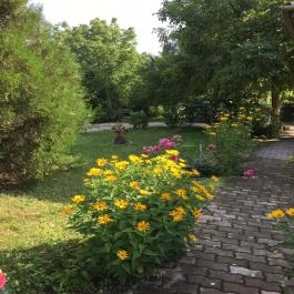 Margaréta Vendégház Fehérvárcsurgó - Környék