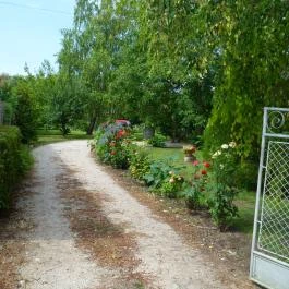 Margaréta Vendégház Fehérvárcsurgó - Medence/kert