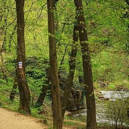 Margaréta Vendégház Fehérvárcsurgó - Környék