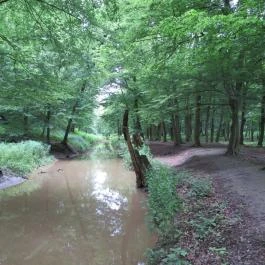 Margaréta Vendégház Fehérvárcsurgó - Környék