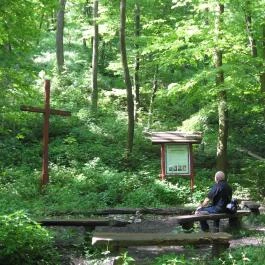 Margaréta Vendégház Fehérvárcsurgó - Környék