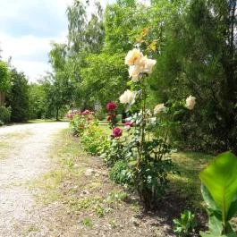 Margaréta Vendégház Fehérvárcsurgó - Medence/kert