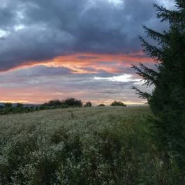 Dió-Lak Vendégház Feldebrő - Egyéb