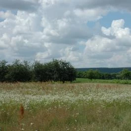Dió-Lak Vendégház Feldebrő - Egyéb