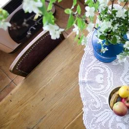 Dió-Lak Vendégház Feldebrő - Egyéb