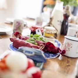 Dió-Lak Vendégház Feldebrő - Vendéglátás