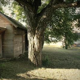 Dió-Lak Feldebrő - Egyéb