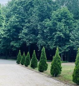 Násfa Boutique Hotel