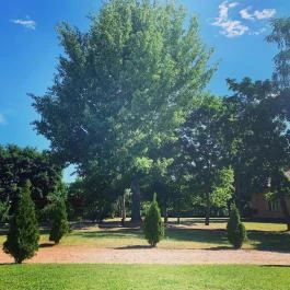 Násfa Boutique Hotel Feldebrő - Medence/kert