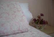 Násfa Panzió Feldebrő